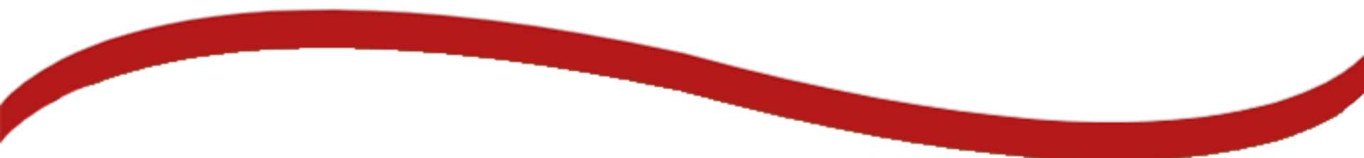 Raclette Party - Merci